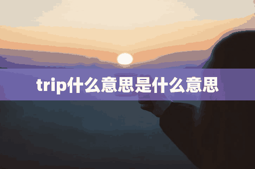 trip什么意思是什么意思